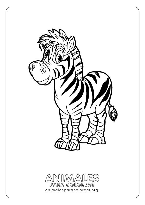 COLOREA-ZEBRAS