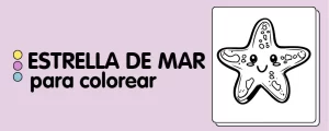 animales para colorear-ESTRELLA DE MAR