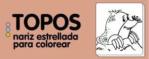 animales para colorear TOPO NARIZ ESTRELLA