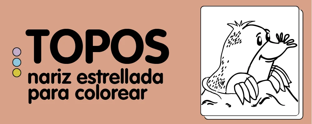 En este momento est&aacute;s viendo Topo nariz estrellada