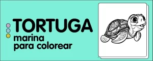 animales para colorear tortuga marina