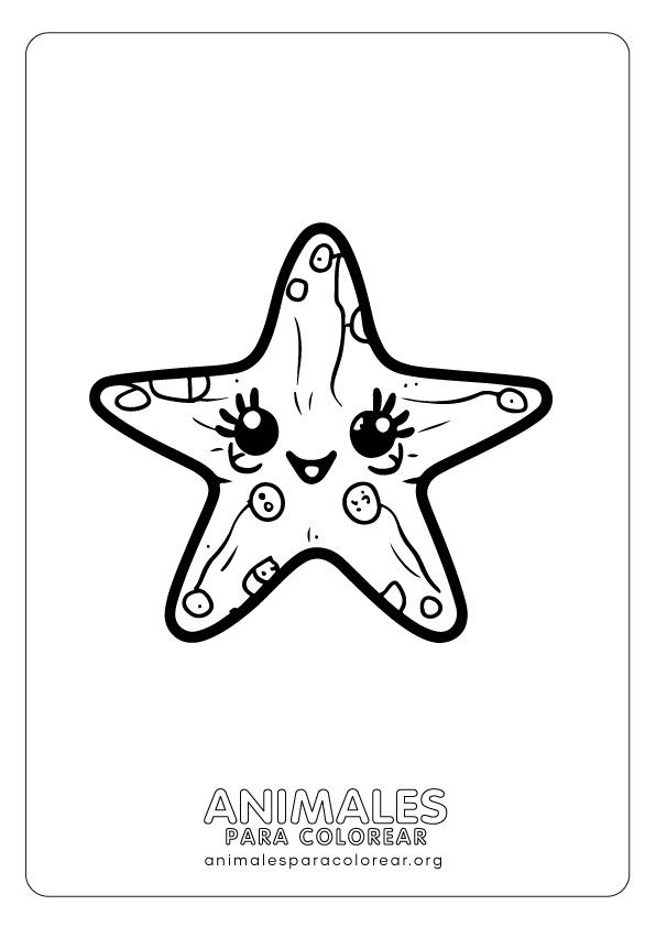 estrella-de-mar