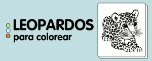 animales para colorear Leopardos